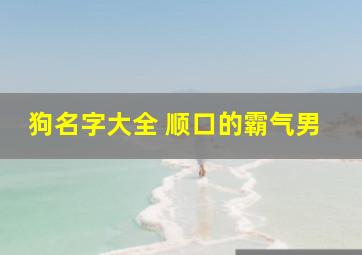 狗名字大全 顺口的霸气男